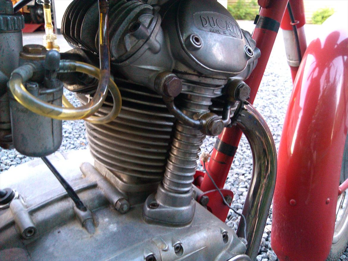 Ducati 175 TS billede 14