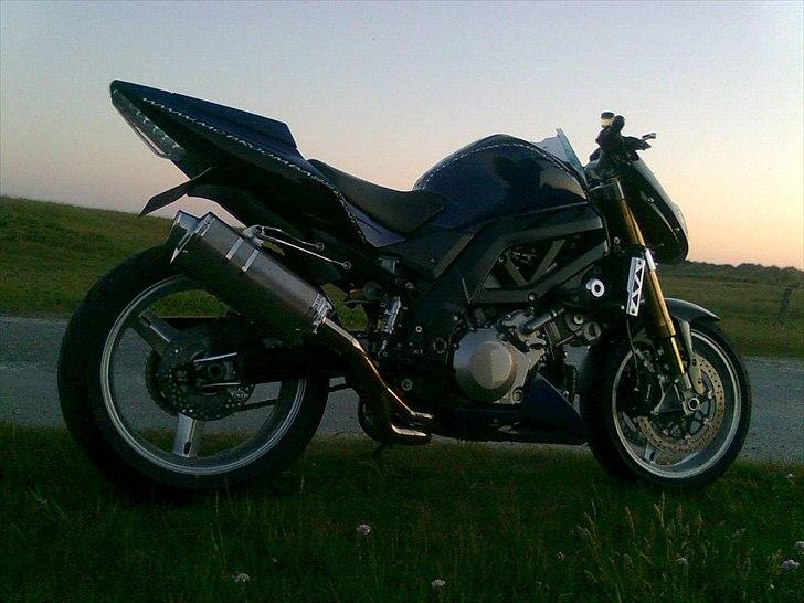 Suzuki SV 996 Standard - Pinse 2012 med et vindblæst kort på tanken billede 23
