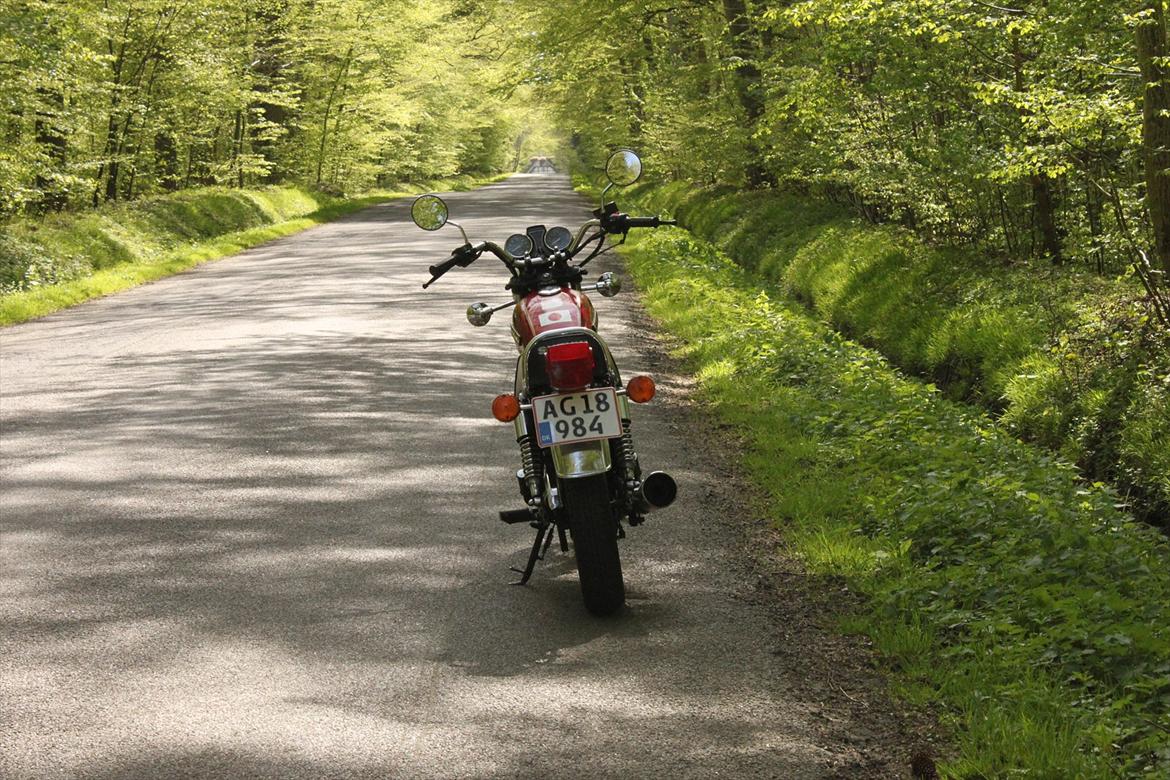Suzuki GN 250 - Inde i Christianssæde skoven billede 2