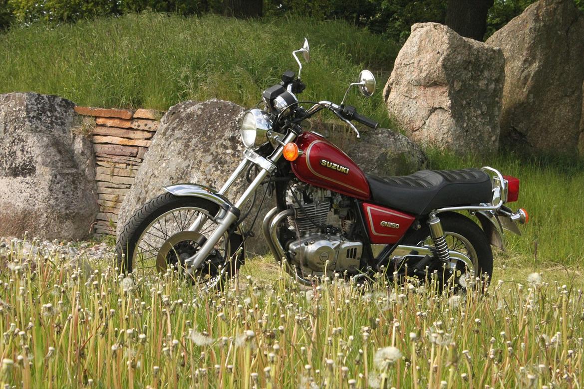 Suzuki GN 250 - Foran Kong Svends gravhøj billede 8