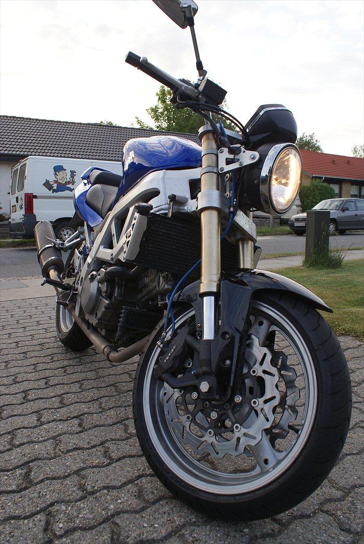 Suzuki Sv650 N billede 15