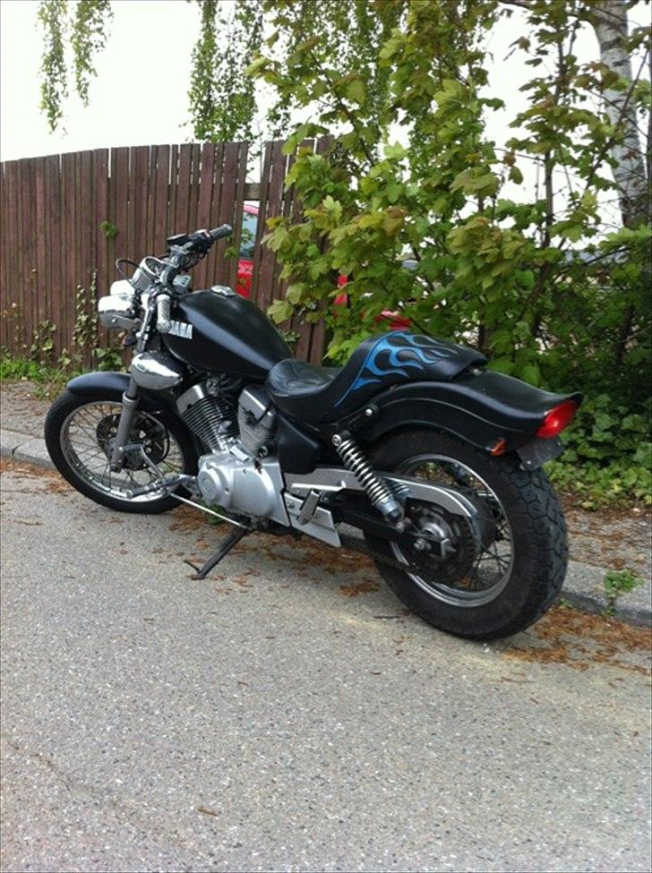 Yamaha XV 250 Virago billede 5