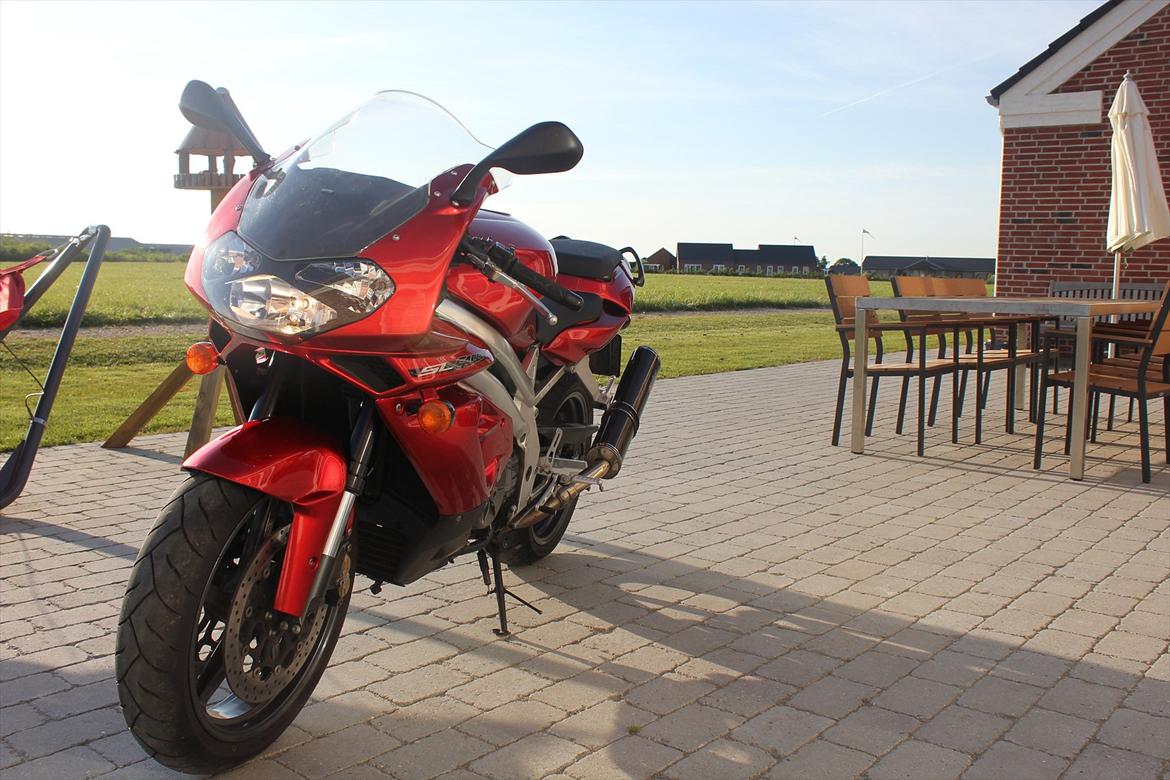 Aprilia SL1000 Falco billede 4