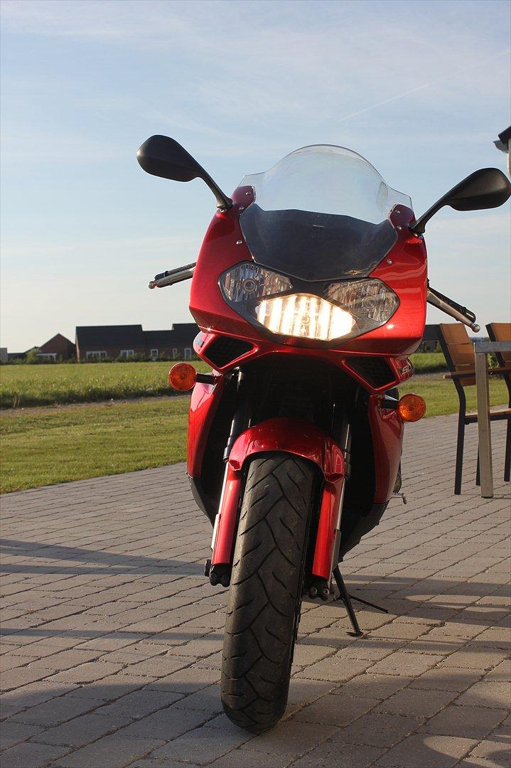 Aprilia SL1000 Falco billede 7