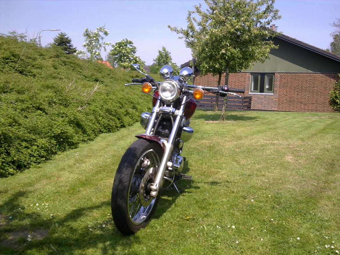 Yamaha XV750 Virago billede 3