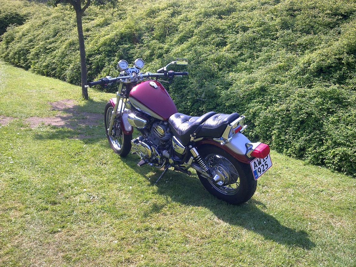 Yamaha XV750 Virago billede 6