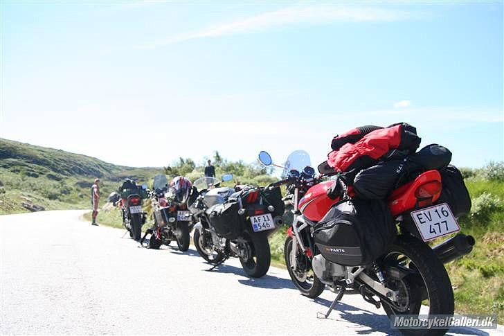 Kawasaki ER-5 - I Norge, på en afstikker op på fjeldene. :o) billede 11