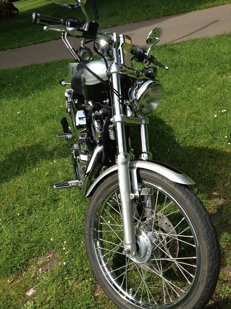 Harley Davidson Sportster XL - Jubilæumsmodel billede 5