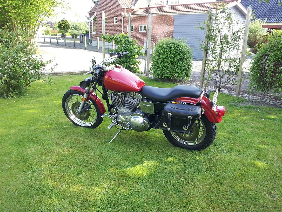 Harley Davidson Sportster 883 billede 1