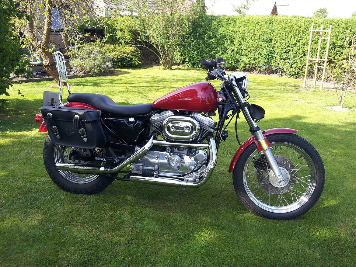 Harley Davidson Sportster 883 billede 2