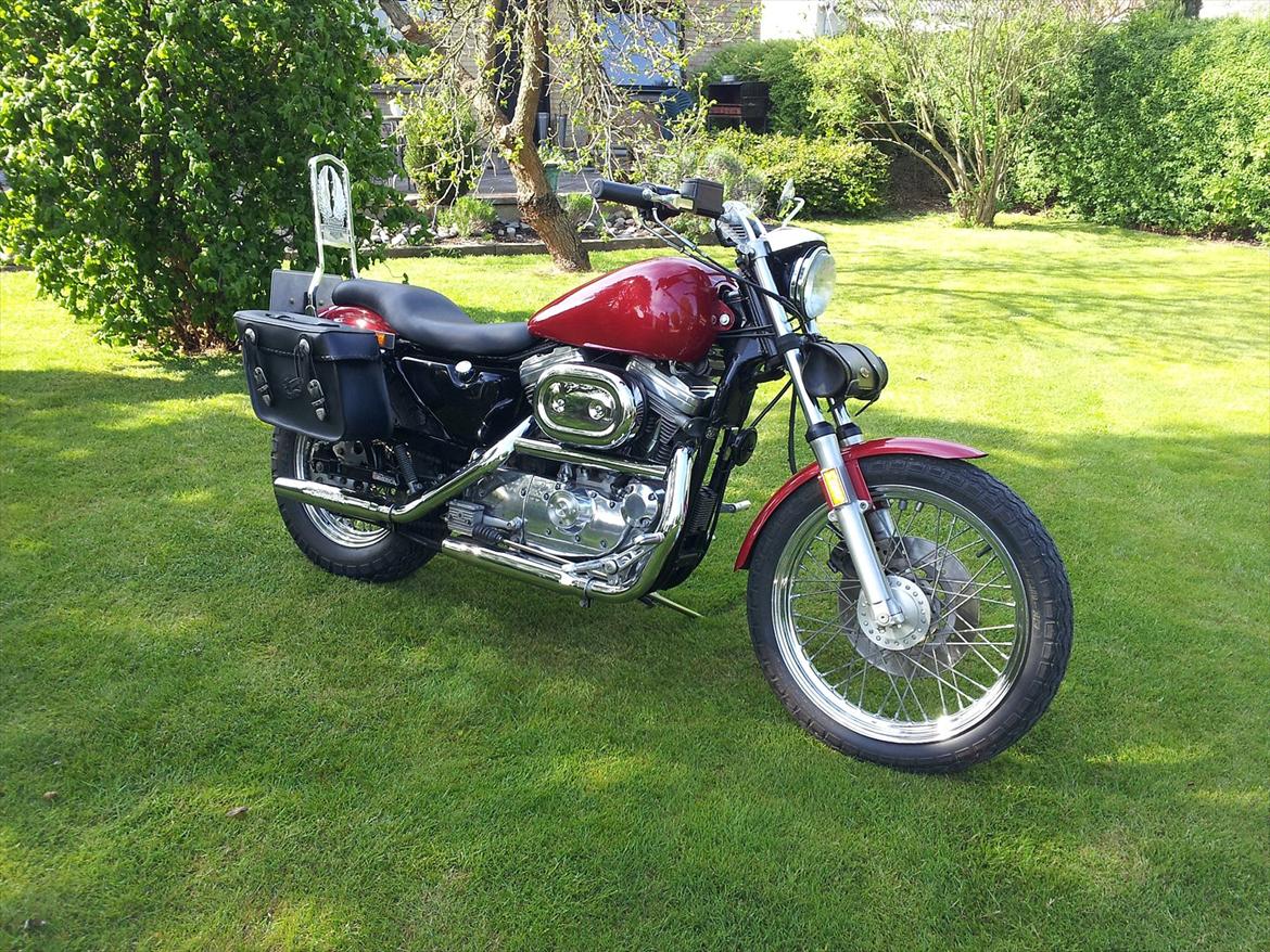 Harley Davidson Sportster 883 billede 4