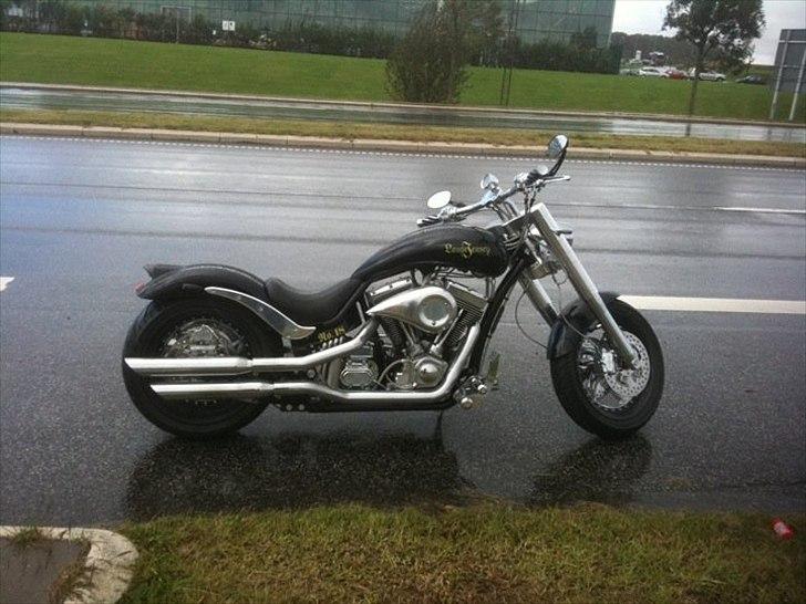 Lauge Jensen Great Dane - Første tur i uventet regnvejr :-( billede 2