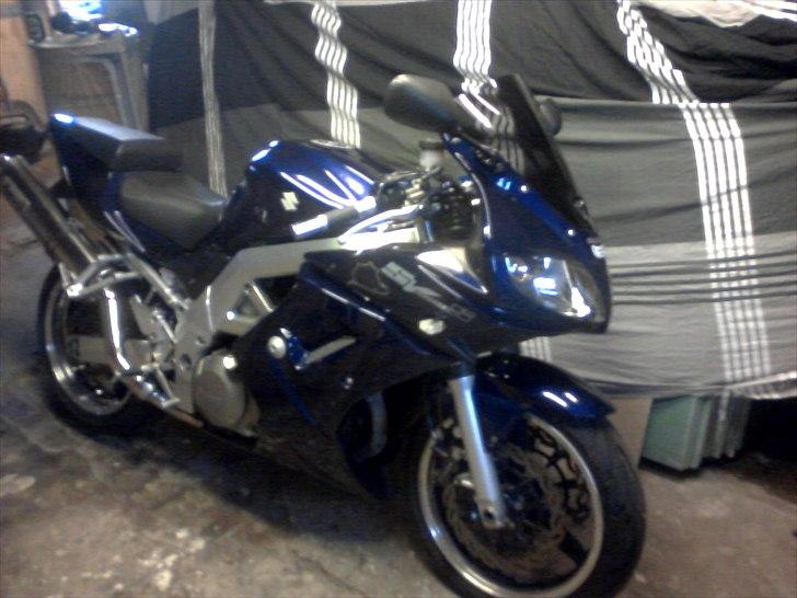 Suzuki Sv 1000 s billede 6