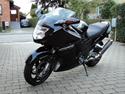 Honda cbr 1100 blackbird [solgt]