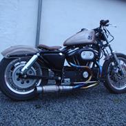 Harley Davidson sportster 883R Rat Bike