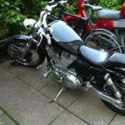 Harley Davidson sporster