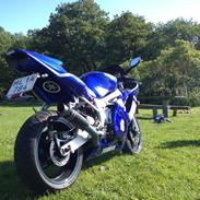 Yamaha YZF R6