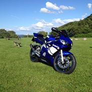 Yamaha YZF R6