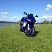 Yamaha YZF R6