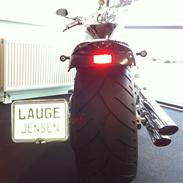 Lauge Jensen Great Dane