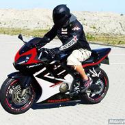 Honda Cbr 600 f4i