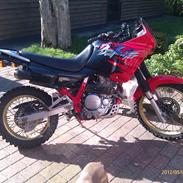 Honda NX650 Dominator