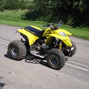 Suzuki Atv 300cc