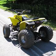 Suzuki Atv 300cc