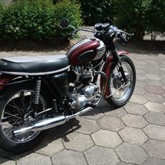 Triumph bonneville