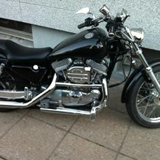 Harley Davidson sporster