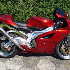Aprilia RSV 1000R