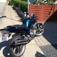 Yamaha XJ 600 S Diversion