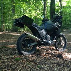 Yamaha XTZ 850 Mette Mols R.I.P