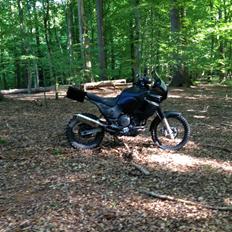 Yamaha XTZ 850 Mette Mols R.I.P