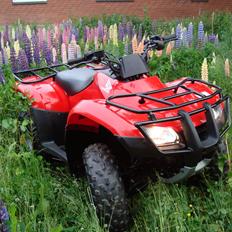 Honda TRX 250TE Recon
