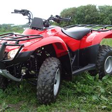 Honda TRX 250TE Recon