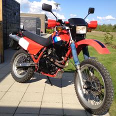 Honda XL 600 RM - PD04 - SOLGT