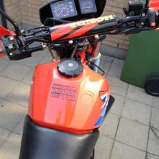 Honda XL 600 RM - PD04 - SOLGT