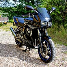 Yamaha FZS 600 Fazer <Solgt>