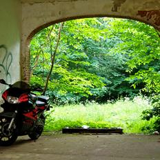Honda CBR 600 F2  (GIV ET BUD)