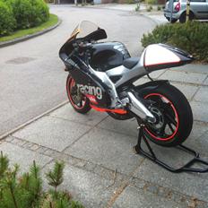 Aprilia RS 250 Replica