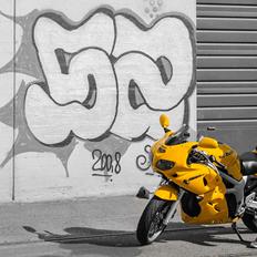 Suzuki SV650S - Brumbassen