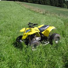 Suzuki Atv 300cc