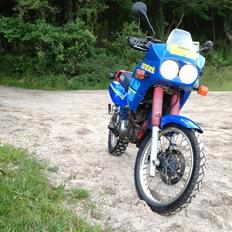 Yamaha XT 600Z Tenere (3AJ)