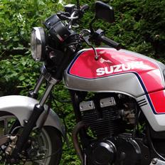 Suzuki GSX 250 ES