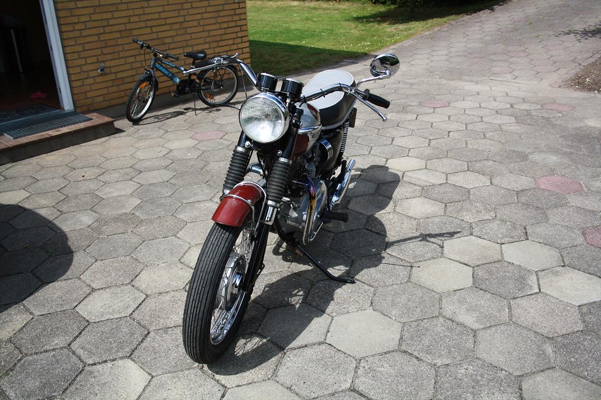 Triumph bonneville billede 3
