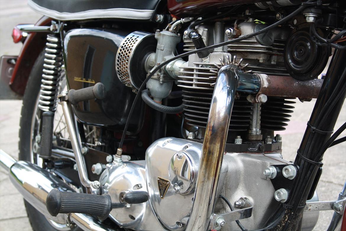 Triumph bonneville billede 7
