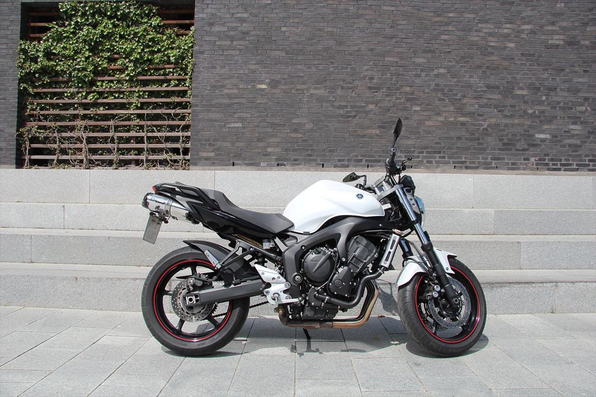 Yamaha FZ6 S2 "Solgt" billede 1