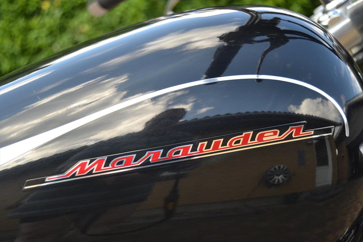 Suzuki VZ 800 Marauder (Solgt) billede 1