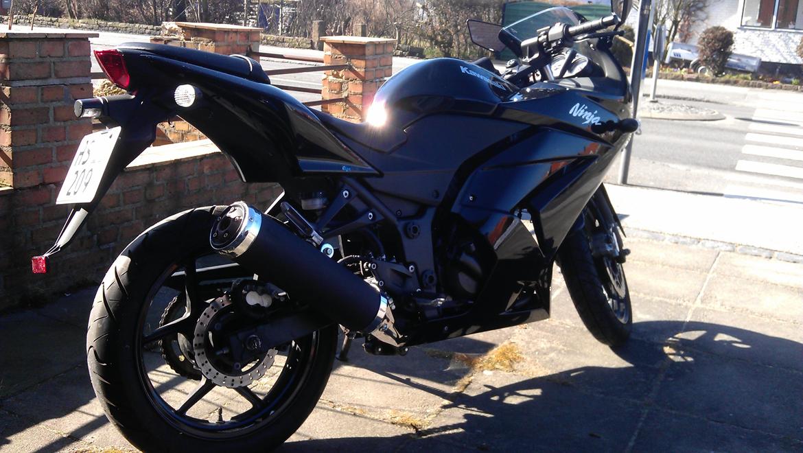 Kawasaki Baby Ninja billede 7